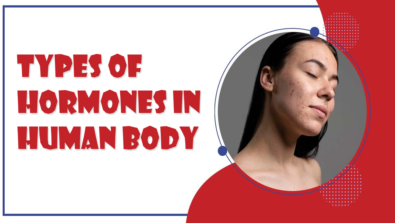 Types of Hormones in Human Body