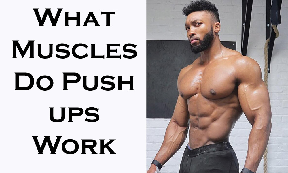What Muscles Do Push ups Work